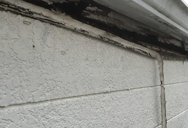 神奈川県横須賀市　外壁塗装　屋根塗装　事前調査　苔の発生原因